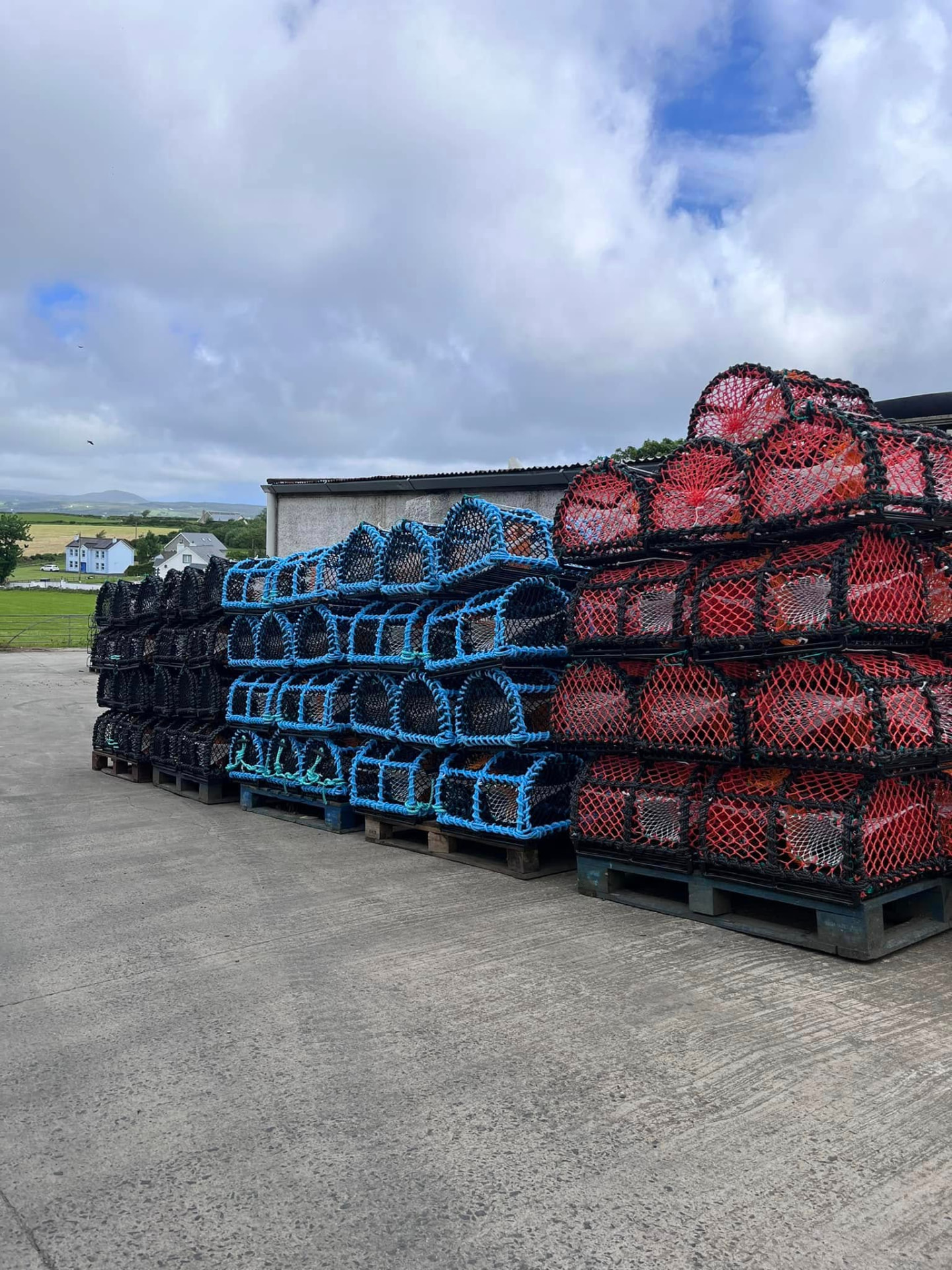 Crab/Lobster Pots